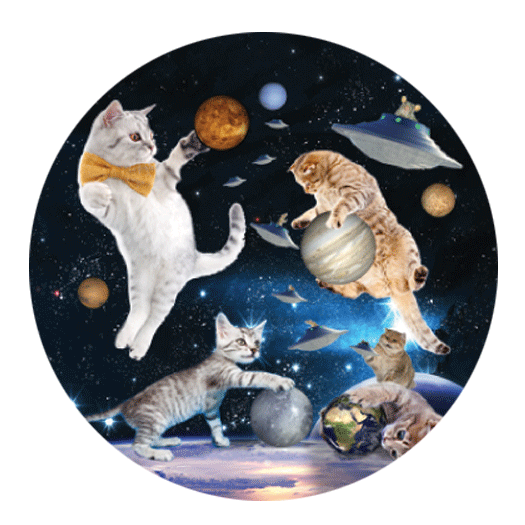 Space Cats 1.25" Button