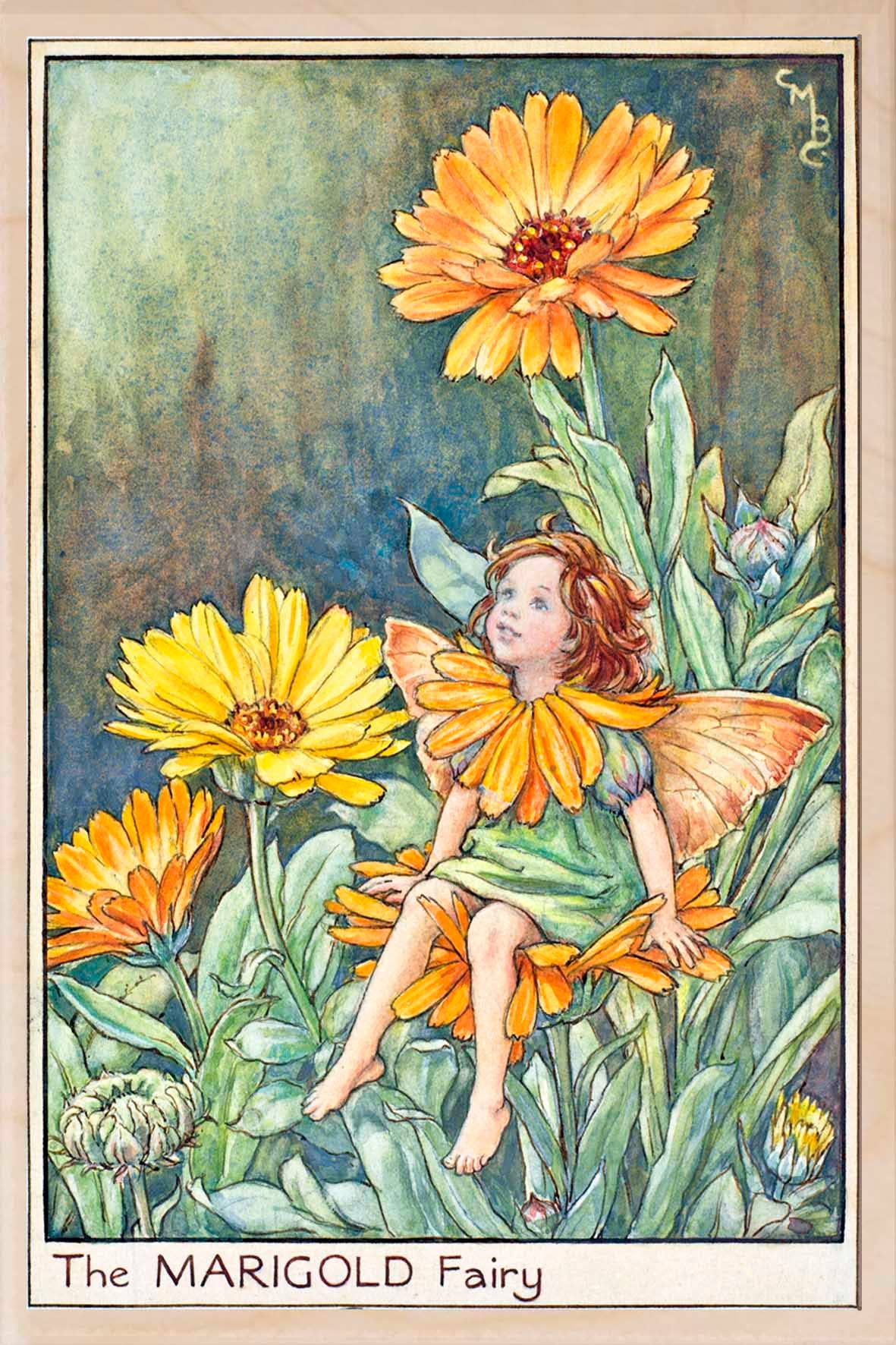 MARIGOLD FAIRY wooden postcard The Flower Fairies™