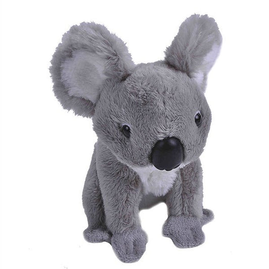 Pocketkins Koala 5" Stuffed Animal by Wild Republic